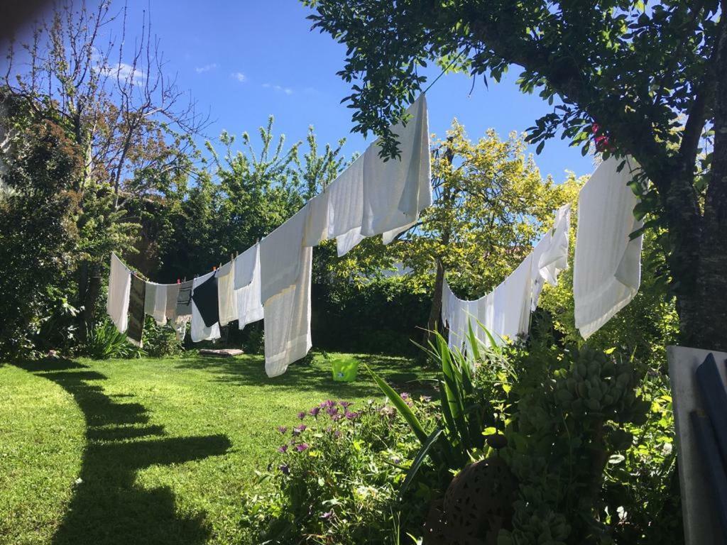 Posada Del Castano Castano de Robledo Εξωτερικό φωτογραφία